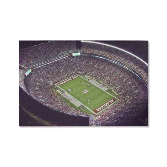 Canvas Wall Art - University of Alabama Football Stadium, 2010