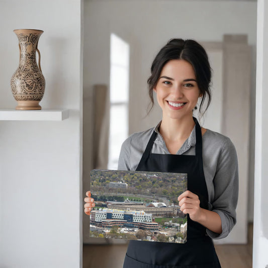 Canvas Wall Art - Aerial view of Boston, Massachusetts, with a focus on Boston University and its U-shaped football stadium