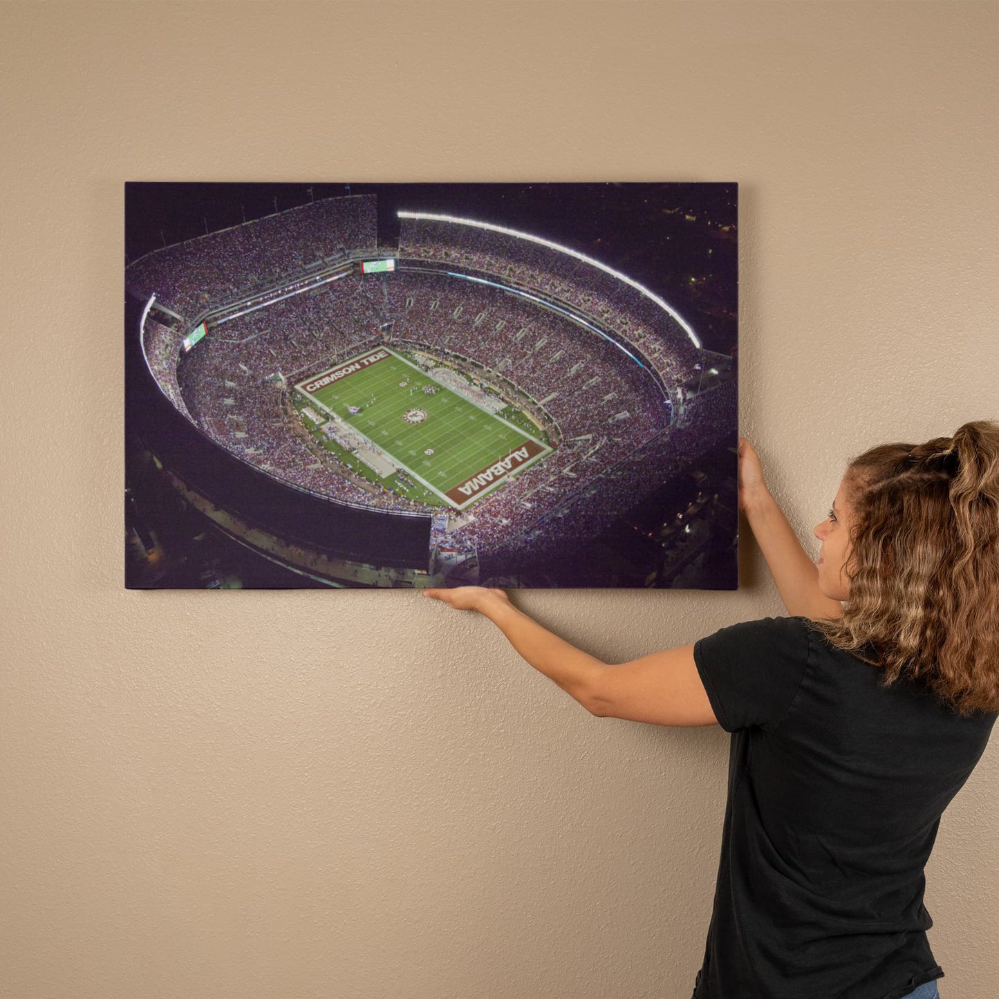 Canvas Wall Art - University of Alabama Football Stadium, 2010