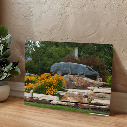 Canvas Wall Art - Statue of a stalking cougar outside the football stadium at Brigham Young University in Provo, city in the western state of Utah