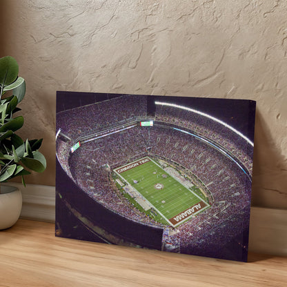 Canvas Wall Art - University of Alabama Football Stadium, 2010