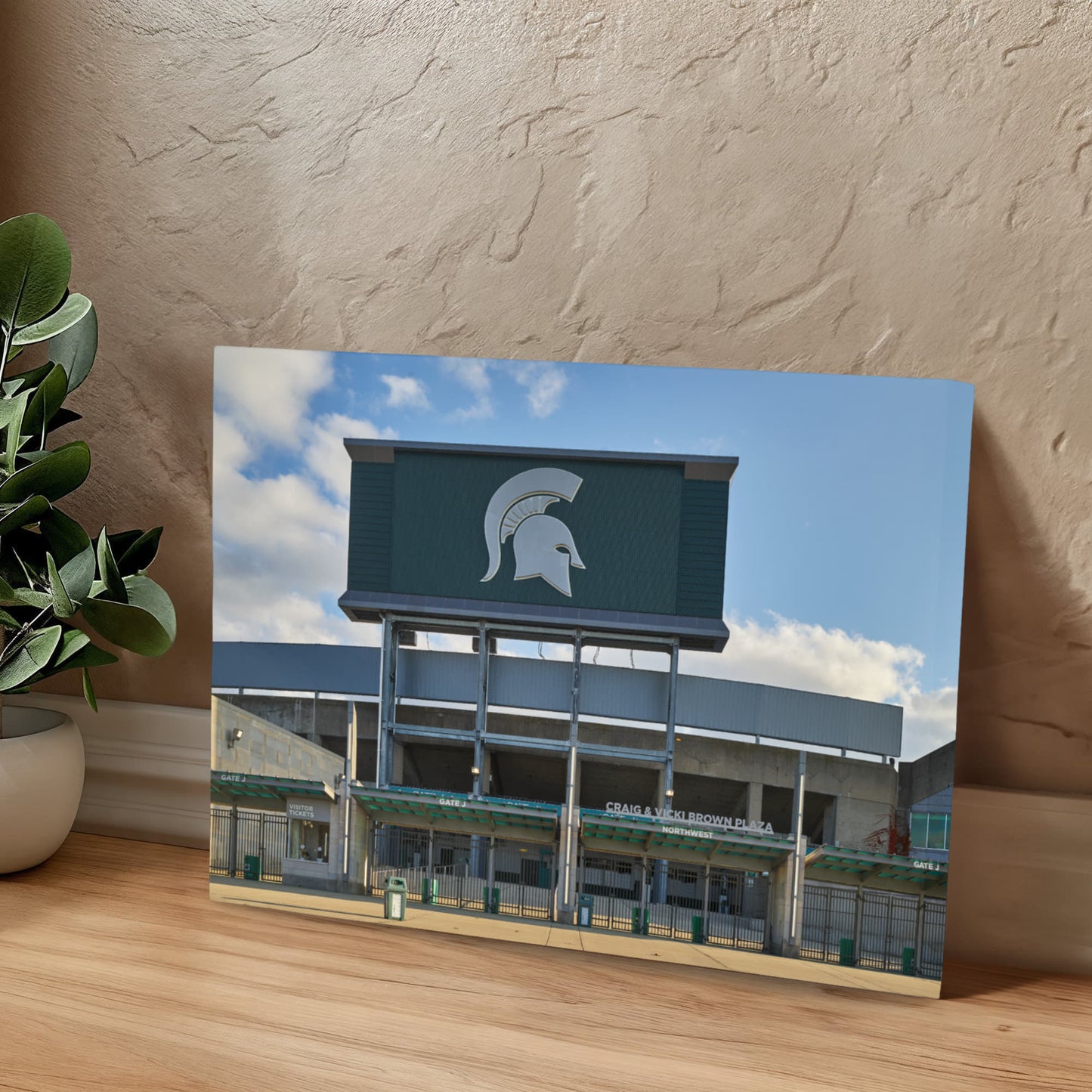 Canvas Wall Art - Spartan Stadium, the football stadium at Michigan State University in East Lansing. The university's athletic teams are nicknamed Spartans