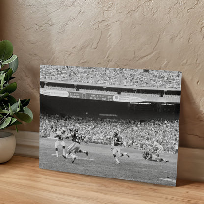 Canvas Wall Art - Redskins vs Cardinals Football Game, 1974