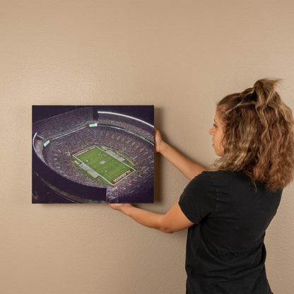 Canvas Wall Art - University of Alabama Football Stadium, 2010