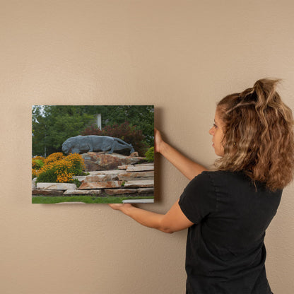 Canvas Wall Art - Statue of a stalking cougar outside the football stadium at Brigham Young University in Provo, city in the western state of Utah