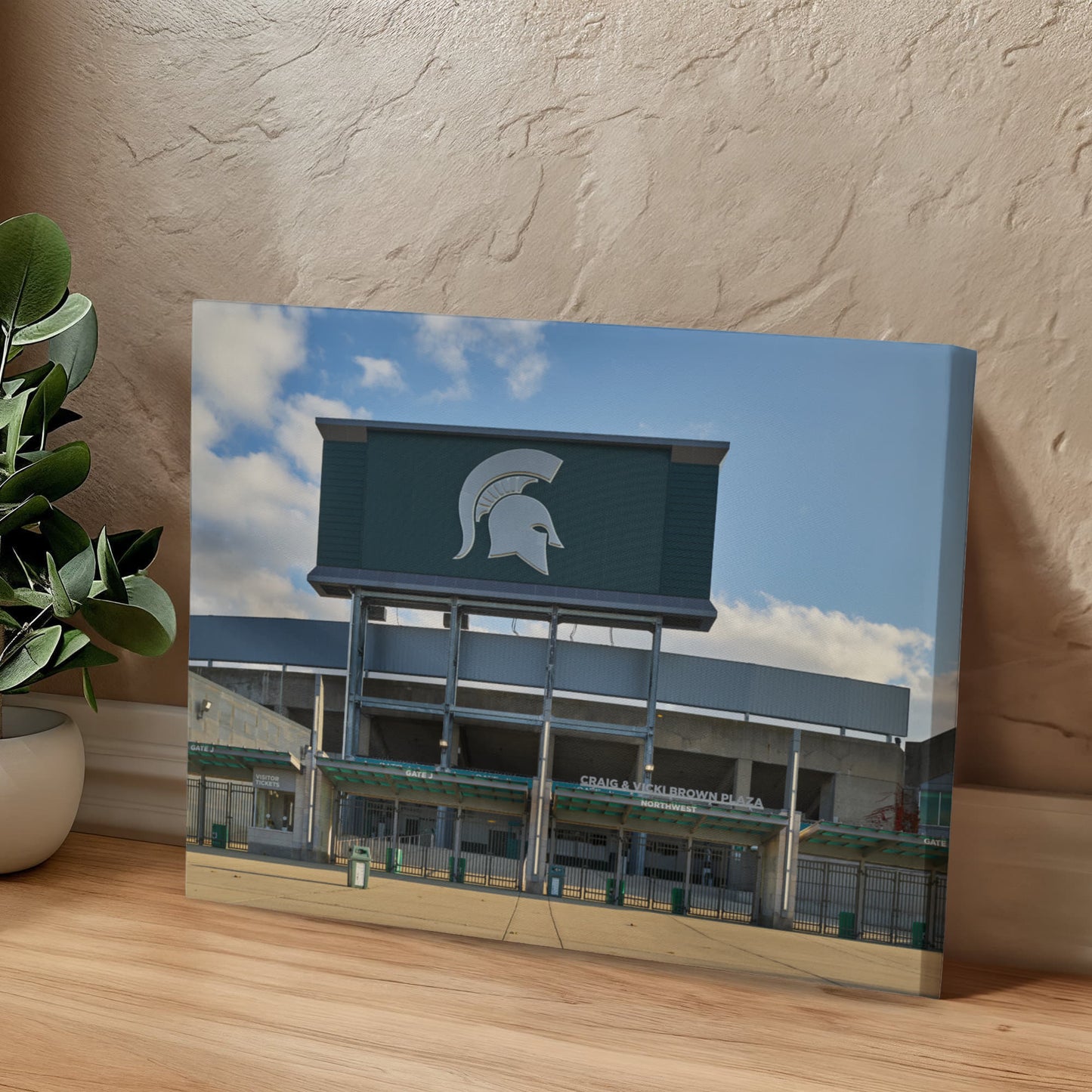 Canvas Wall Art - Spartan Stadium, the football stadium at Michigan State University in East Lansing. The university's athletic teams are nicknamed Spartans