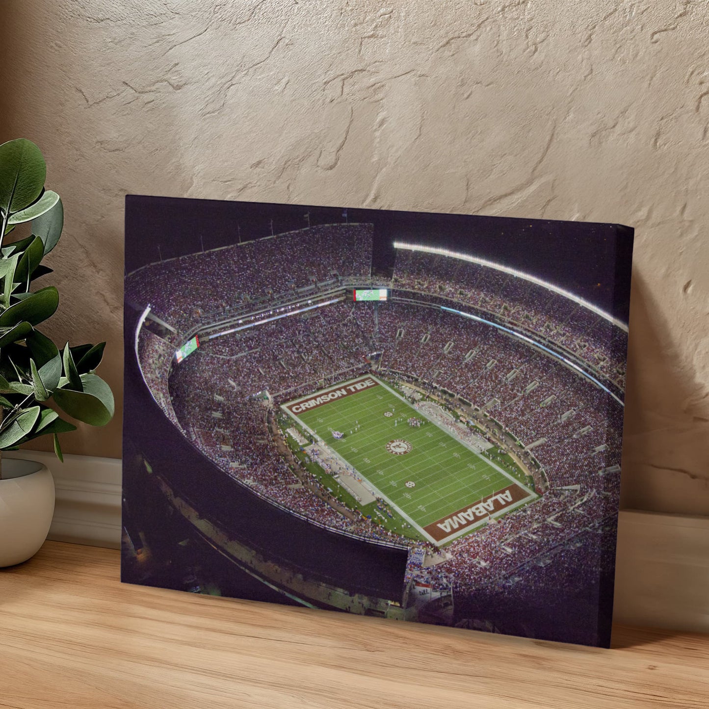Canvas Wall Art - University of Alabama Football Stadium, 2010